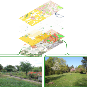 Illustration of the digitisation of urban horticulture as a basis for estimating ecosystem services for municipal development planning Source: Tino Fauk